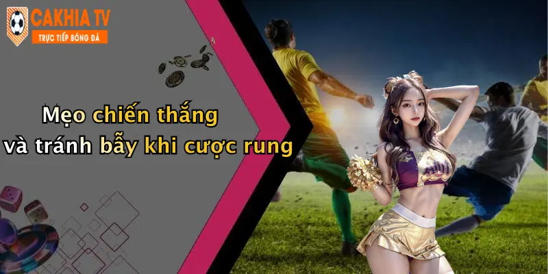Mẹo chiến thắng và tránh bẫy khi cược rung
