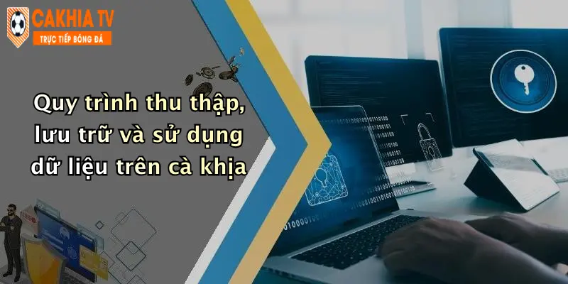 Quy trình thu thập, lưu trữ và sử dụng dữ liệu trên cà khịa
