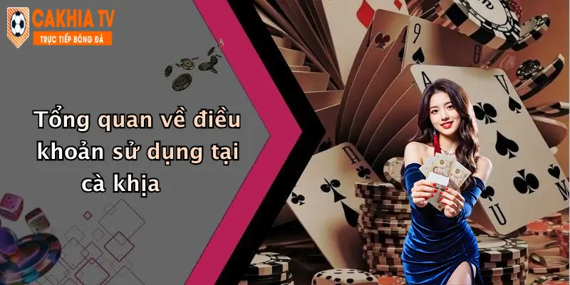 Tổng quan về điều khoản sử dụng tại cà khịa